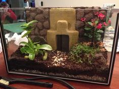 an aquarium with plants and rocks in it on a table next to a hair dryer