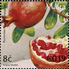 a stamp with a pomegranate and leaves on it