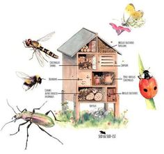 an insect house is labeled with all the parts labelled in this illustration, including bees and other insects