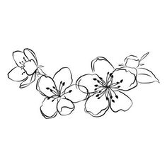 an ink drawing of flowers on a white background