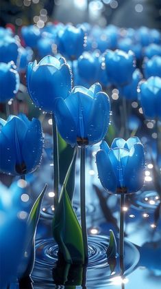 blue tulips are floating in the water