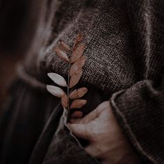 a person holding a plant in their hands