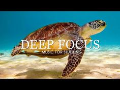 Deep Focus Music To Improve Concentration - 11 Hours of Ambient Study Music to Concentrate #5 - YouTube Sounds To Help You Focus, Music To Listen While Studying, Music That Helps You Study, Music For Relaxation, Deep Focus, Sleep Meditation Music, Music Words