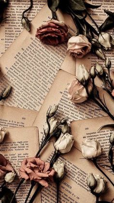 dried flowers are laying on top of an old book page that is covered in pages