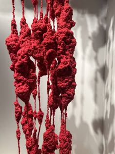 red crocheted objects are hanging from the ceiling in front of a white wall