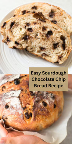 sourdough chocolate chip bread recipe Kitchenaid Sourdough Bread, Sourdough Chocolate Chip Scones, Chocolate Chip Sourdough Bread, Sourdough Bread Add Ins, Chocolate Chip Sourdough, Simple Sourdough Bread, Chocolate Chip Bread Recipe, Best Homemade Bread Recipe