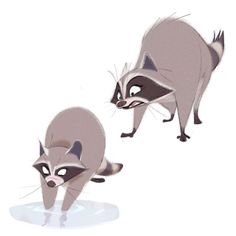 two raccoons standing next to each other on top of a water puddle with one looking at the camera