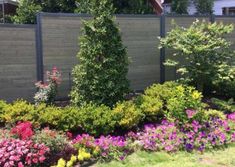 the garden is full of colorful flowers and plants in bloom, along with a wooden fence