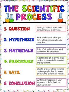 the scientific process poster is shown with information for students to use on their own project