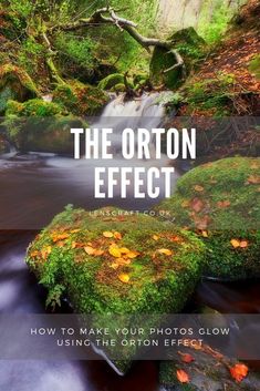 the orton effect how to make your photos glow using the orton effect book