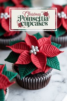 christmas poinsettia cupcakes are decorated with red and green paper flowers