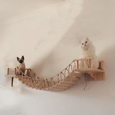 two small dogs sitting on top of a wooden staircase