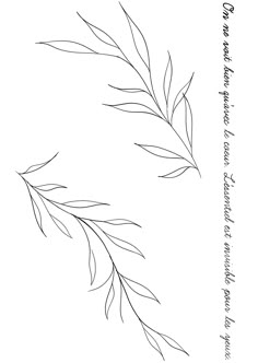 a black and white drawing of a branch