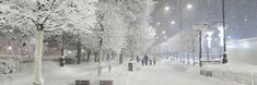 snowy street trees snow aesthetic white christmas park winter Winter Banners Discord, Winter Banner Twitter, Winter Notion Banner, Ice Twitter Header, Winter Aesthetic Header, Winter Twitter Header Aesthetic, Snow Banner Discord, Winter Banner Discord, Winter Twitter Header