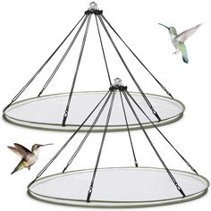 two birds are flying around a circular glass display stand with metal rods and wire, one bird is in mid - flight