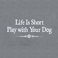 the words life is short play with your dog are written in white on a gray background