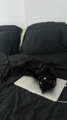 a black cat laying on top of a laptop computer