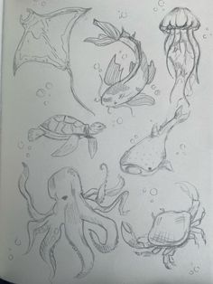 some drawings of sea animals and jellyfish