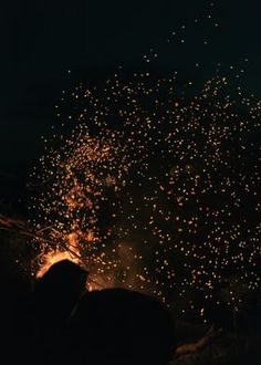 people are watching fireworks in the night sky