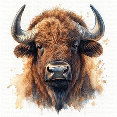 a watercolor painting of a bison's head