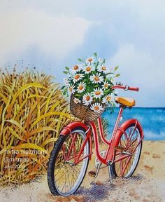 a painting of a red bicycle with flowers in the basket parked on sand next to water