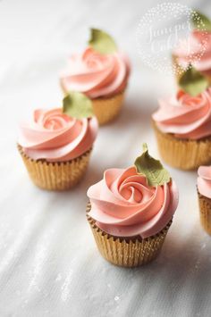 small cupcakes with pink frosting and green leaves