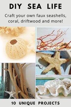 various sea life pictures with text overlay that says diy sea life 10 easy ways faux seashells, coral, driftwood and more