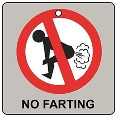 a sign that says no farting is in front of a gray and white background