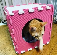 a cat in a pink house made out of legos