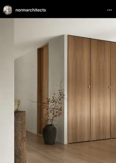 a room with wooden cabinets and a vase on the floor in front of some doors