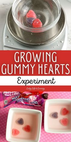 two small bowls filled with gummy hearts and the words growing gummy hearts experiment