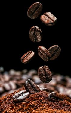 coffee beans fall into the ground and are being tossed over by some kind of food