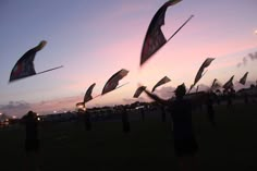 a group of people flying kites on top of a lush green field at sunset