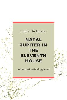 the title for an article about jupter in houses