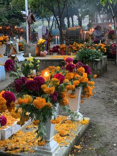 many flowers are placed in white urns on the ground