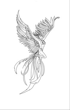 a drawing of a bird flying with its wings spread