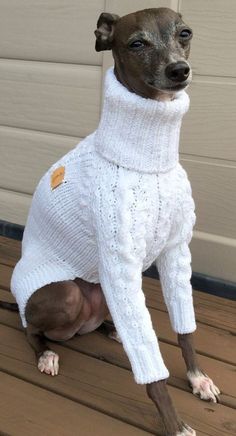 a small dog wearing a white sweater sitting on top of a wooden floor next to a garage door