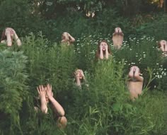 several people are hiding in tall grass with their hands up to the ground and one person is reaching for something