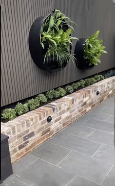 a brick wall with plants growing on it and the words inner city courtyard garden design & construct