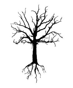 the silhouette of a tree with no leaves and no branches, on a white background