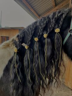 a close up of a horse with long hair and flowers on it's back