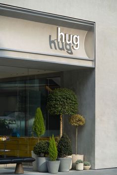 several potted trees in front of a building with the word hygg on it