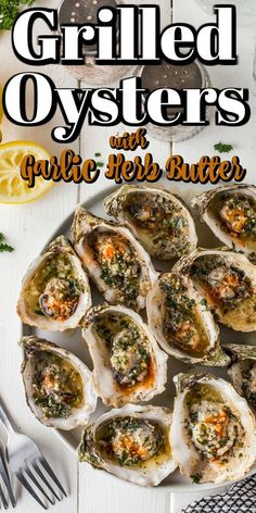 grilled oysters with garlic herb butter