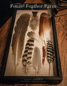 an old book with feathers in it sitting on a table