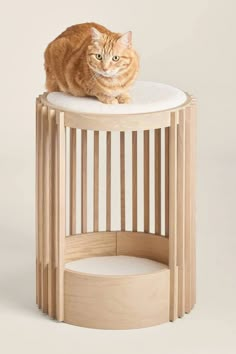 14 Minimalist Cat Trees for a Clutter-Free Home Cat Tree Designs, Cat Seat, Cat Trees, Modern Pet