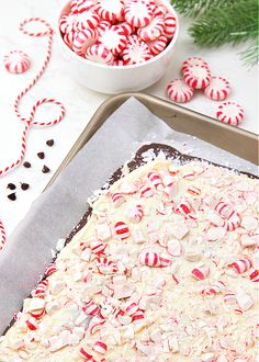 Copycat Williams Sonoma Peppermint Bark - Passion For Savings Diy Peppermint Bark, Xmas Bark, Homemade Peppermint Bark, Christmas Bark Recipes, Peppermint Bark Recipes, Easy Christmas Candy, Holiday Treats Recipes, Christmas Candy Easy, Christmas Bark