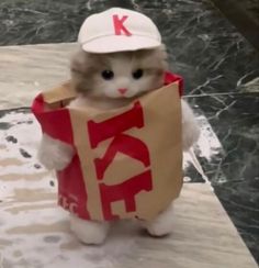 a cat dressed up like a kfc bag