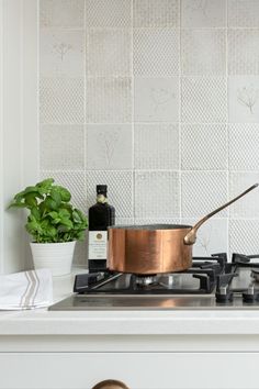 a stove top with a pot on it next to a potted plant and a bottle