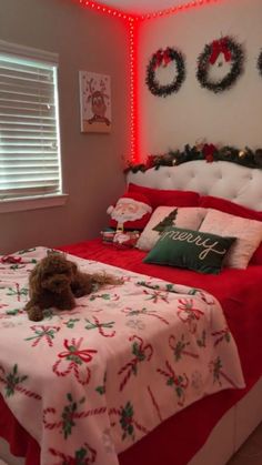 a bedroom decorated for christmas with lights on the ceiling and a dog laying on the bed