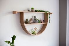 two wooden shelves with plants and rocks in them on the wall next to a potted plant